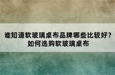 谁知道软玻璃桌布品牌哪些比较好？ 如何选购软玻璃桌布